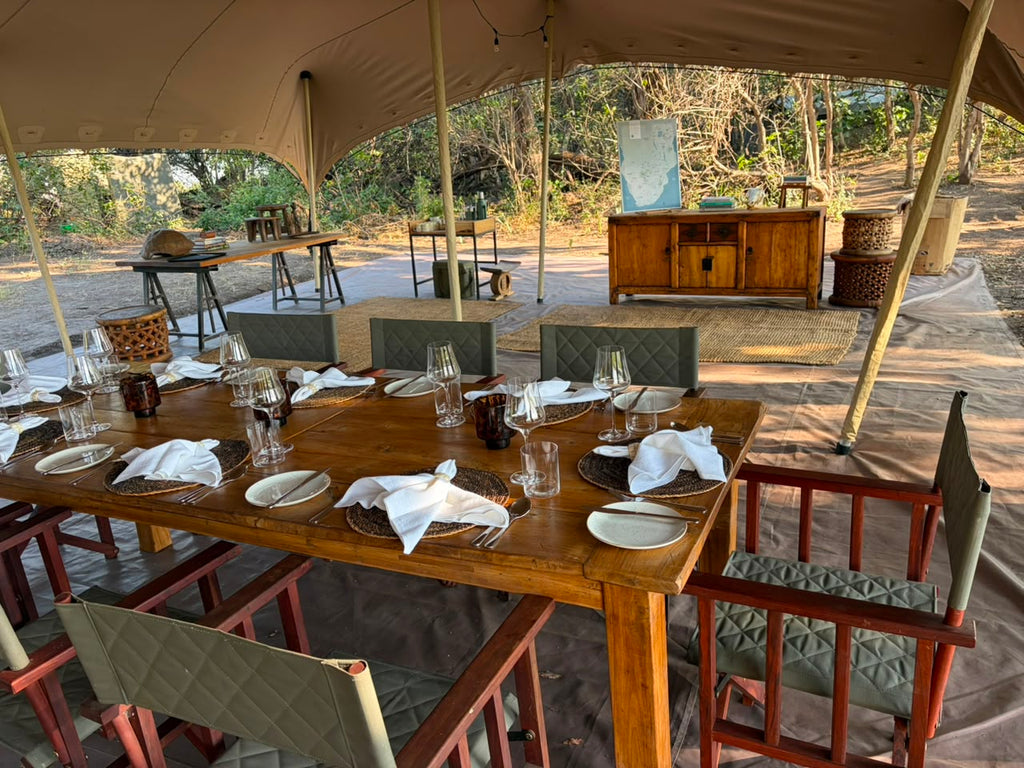 Main Area & Bar