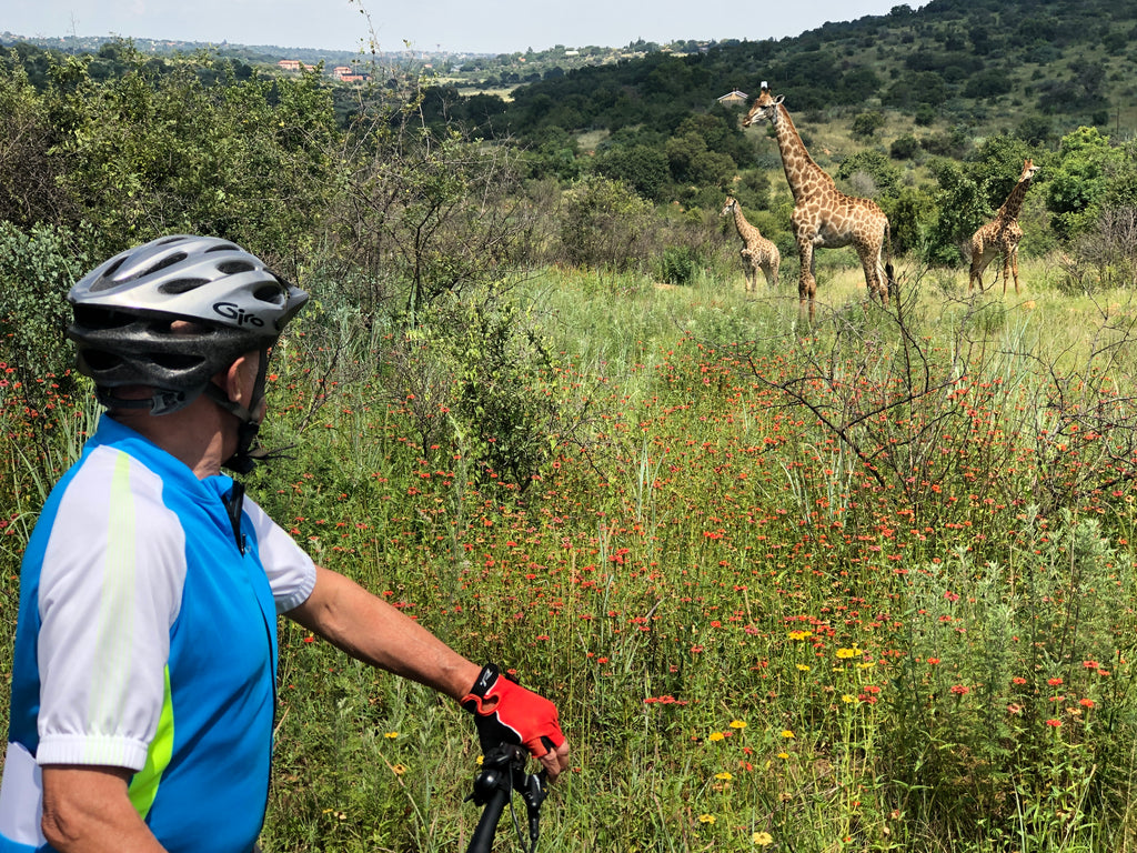 e-Biking with wild game in a city