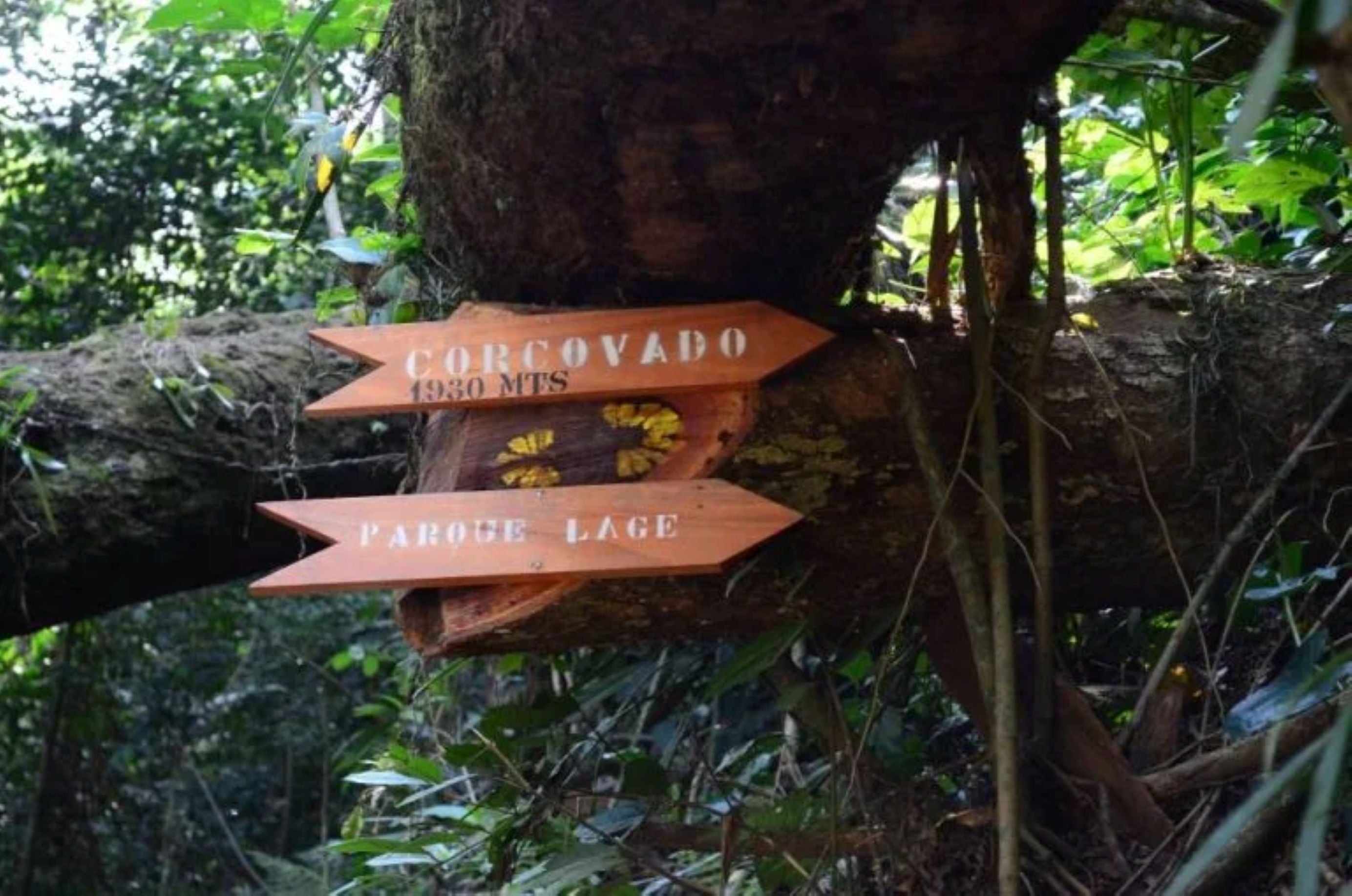 Tijuca National Park
