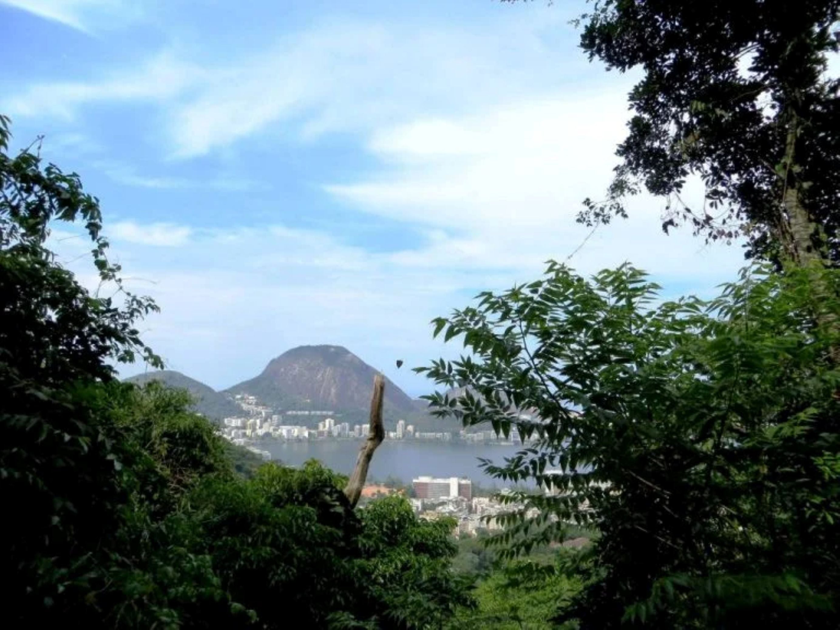 Tijuca National Park