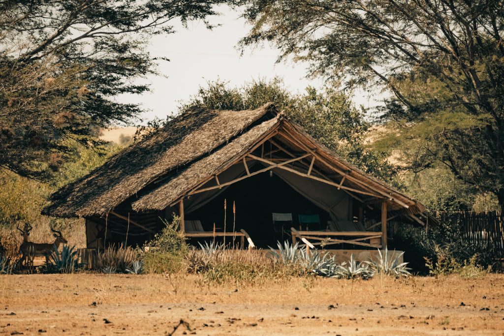 Satao Camp