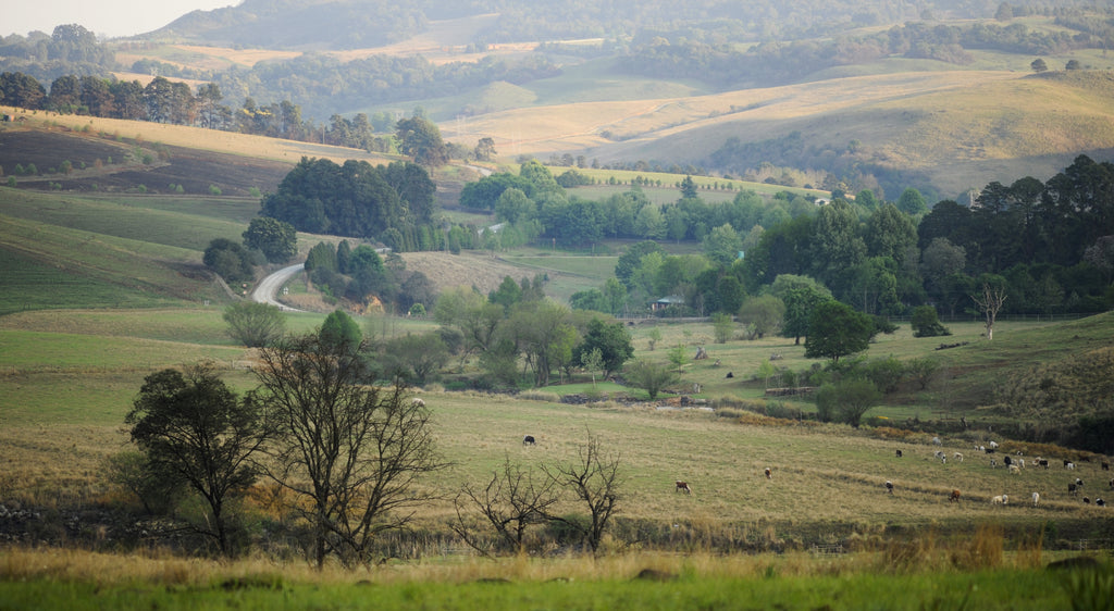 Granny Mouse Country House & Spa - Views
