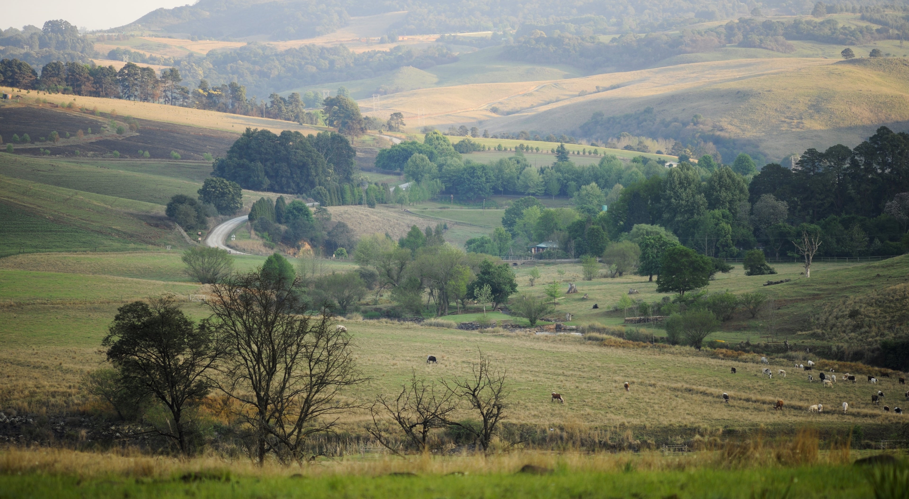 Granny Mouse Country House & Spa - Views