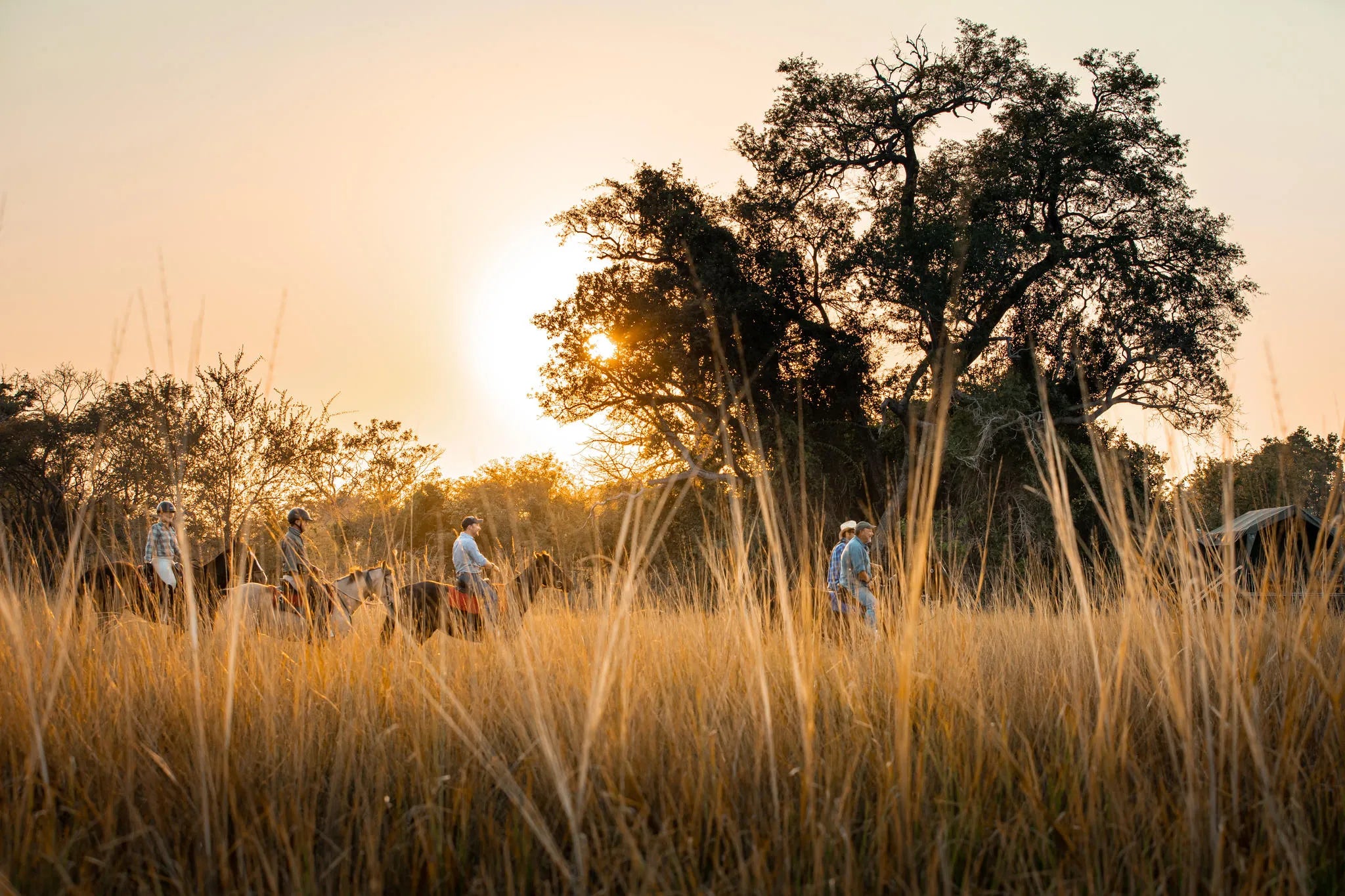 Multi-Day Horseback Safaris