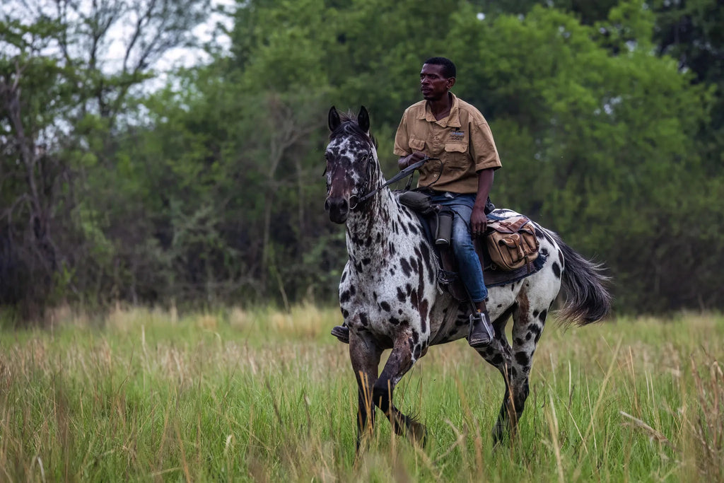Guide Makela at Zambian Horseback Safaris, Upper Zambezi, Zambia.