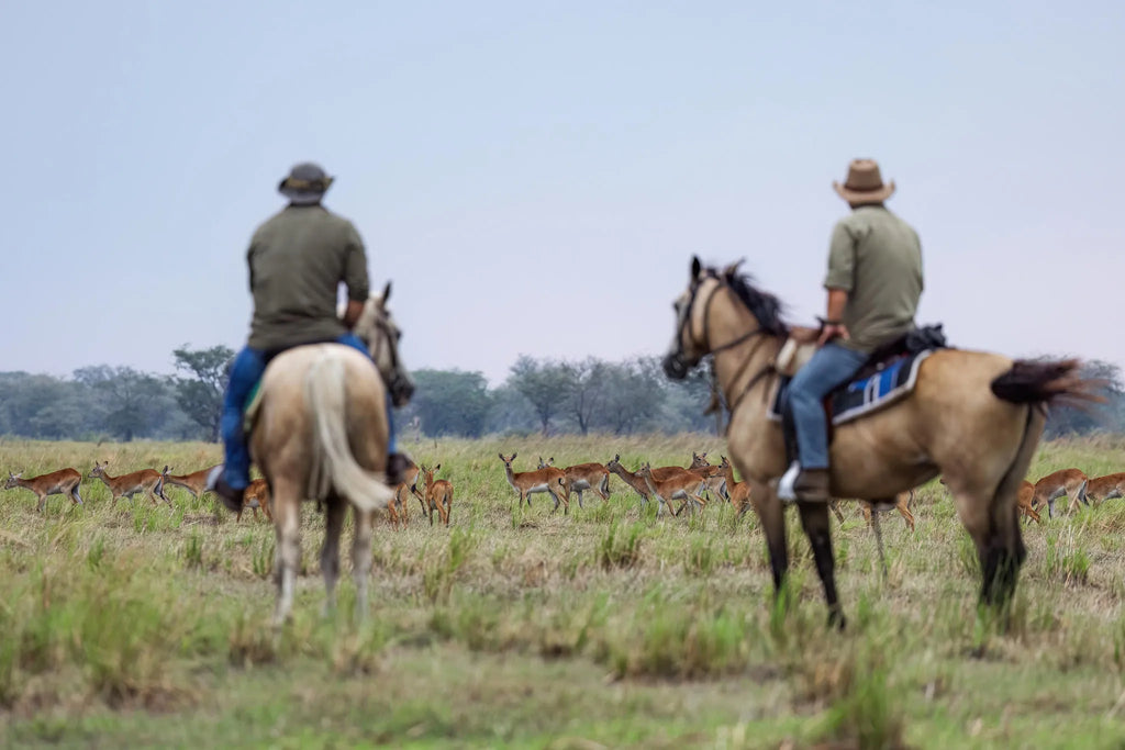Rides and Wildlife at Zambian Horseback Safaris, Upper Zambezi, Zambia.