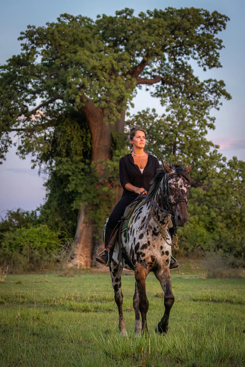 Rides and Wildlife at Zambian Horseback Safaris, Upper Zambezi, Zambia.