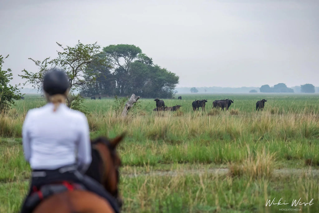Rides and Wildlife at Zambian Horseback Safaris, Upper Zambezi, Zambia.