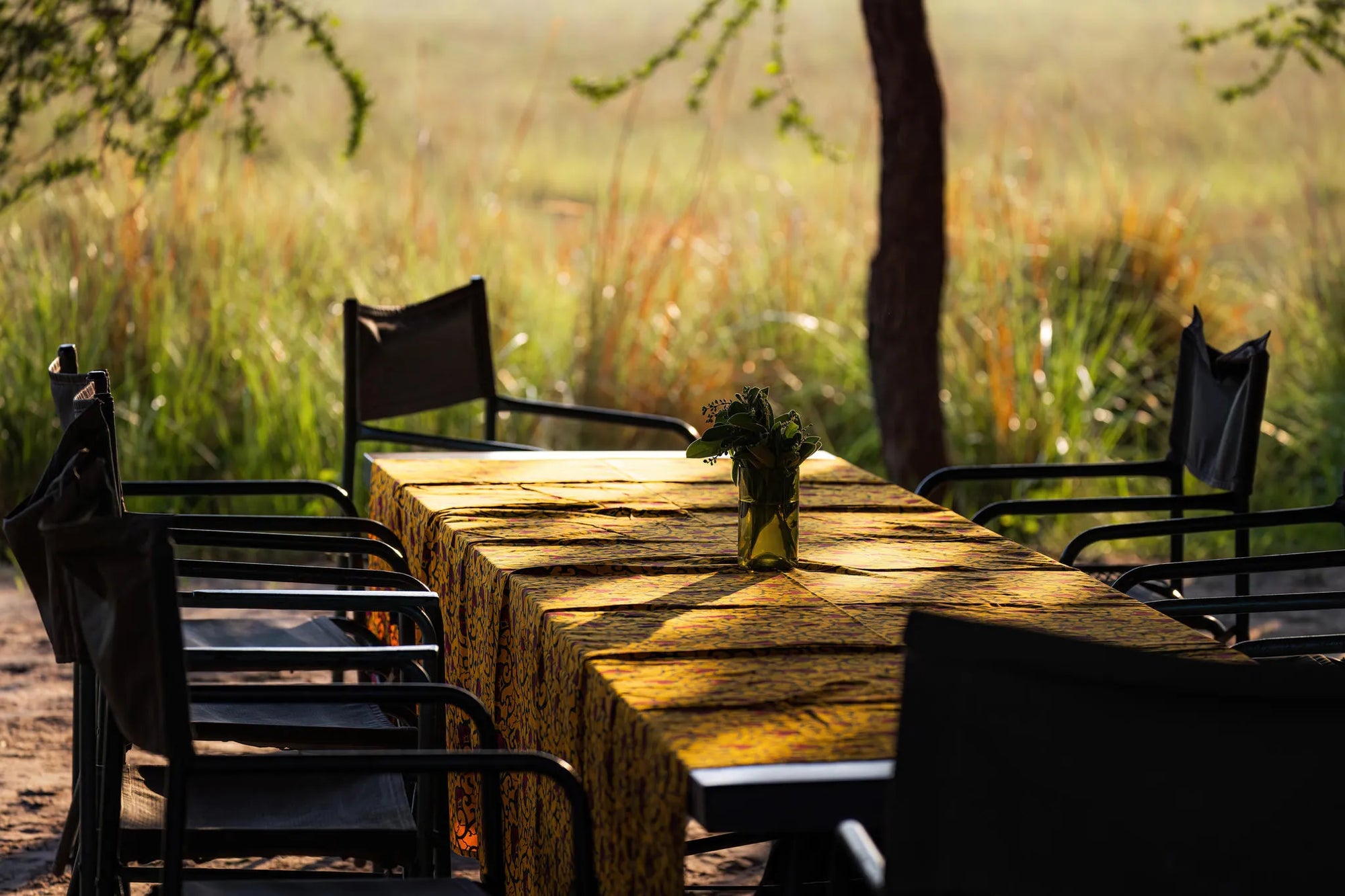 Eco Camp at Zambian Horseback Safaris, Upper Zambezi, Zambia.