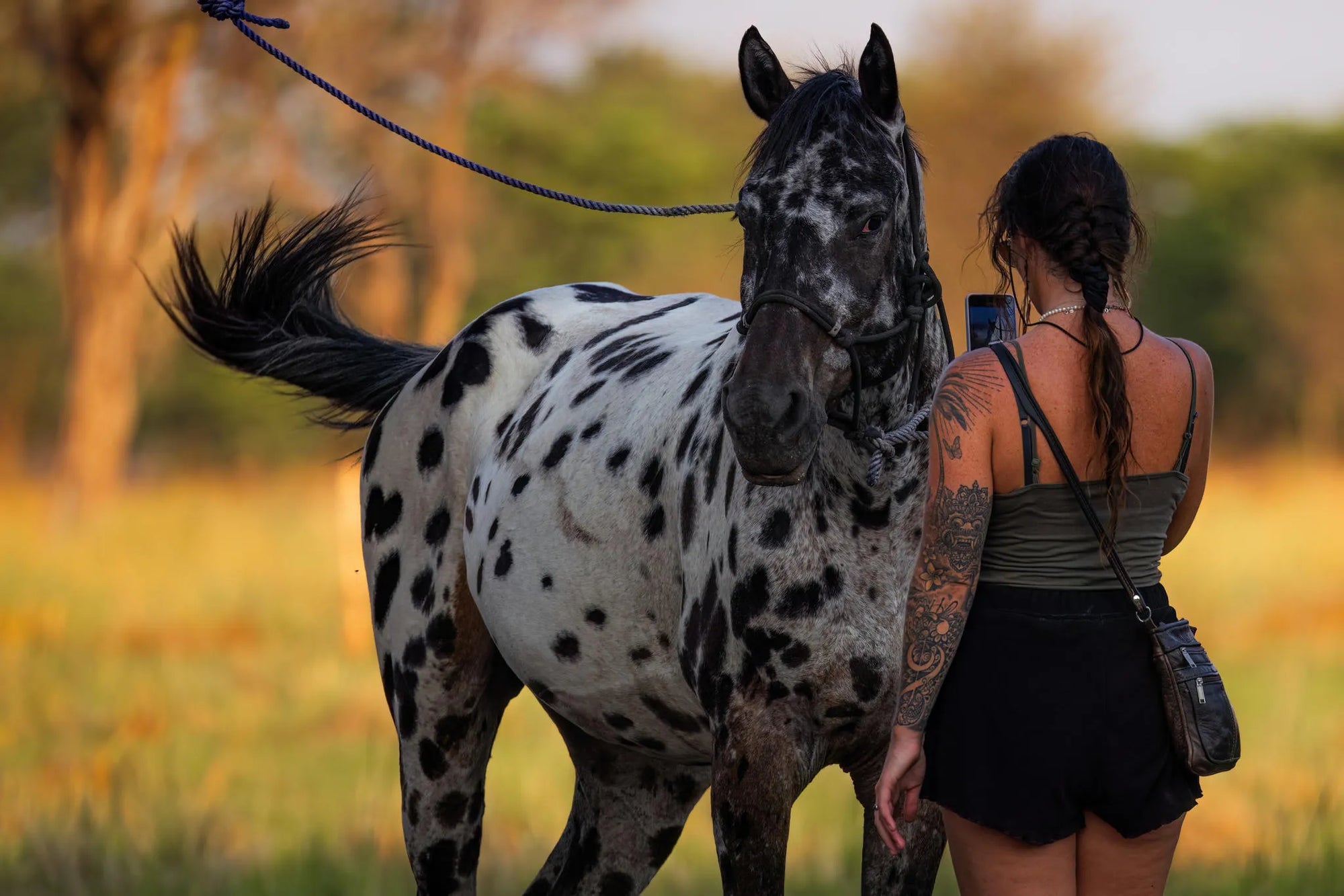 Eco Camp at Zambian Horseback Safaris, Upper Zambezi, Zambia.
