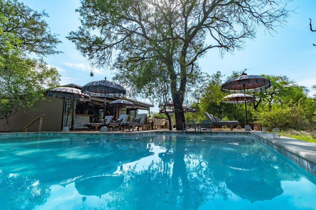 Safari Moon Swimming Pool