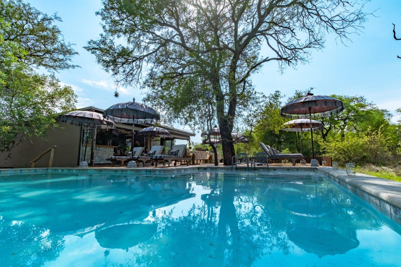 Safari Moon Swimming Pool