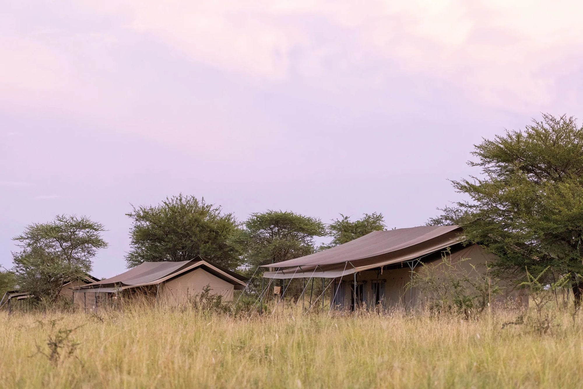 Serengeti Wilderness Camp at Serengeti Wilderness Camp, Seronera, Tanzania.