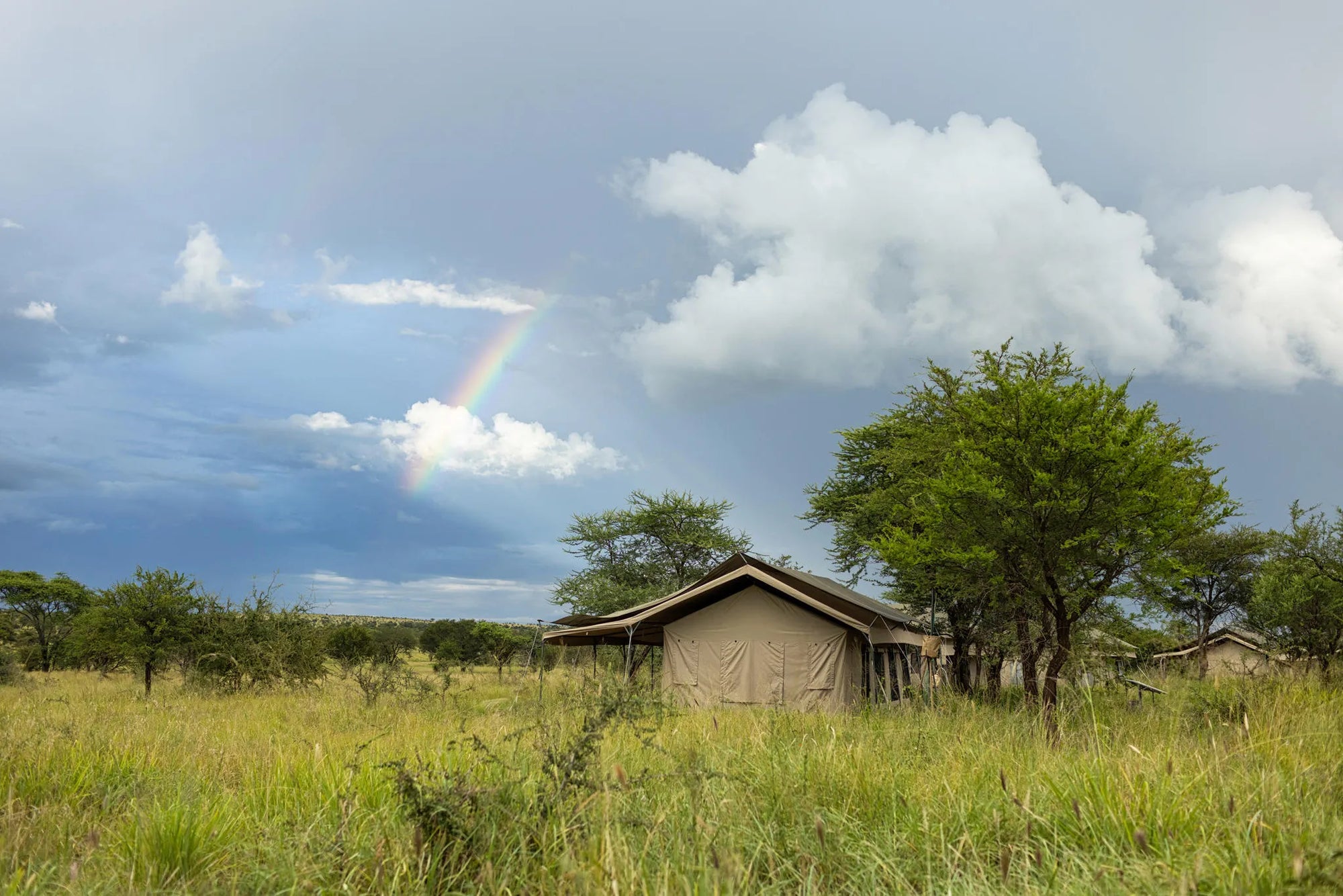 Serengeti Wilderness Camp at Serengeti Wilderness Camp, Seronera, Tanzania.