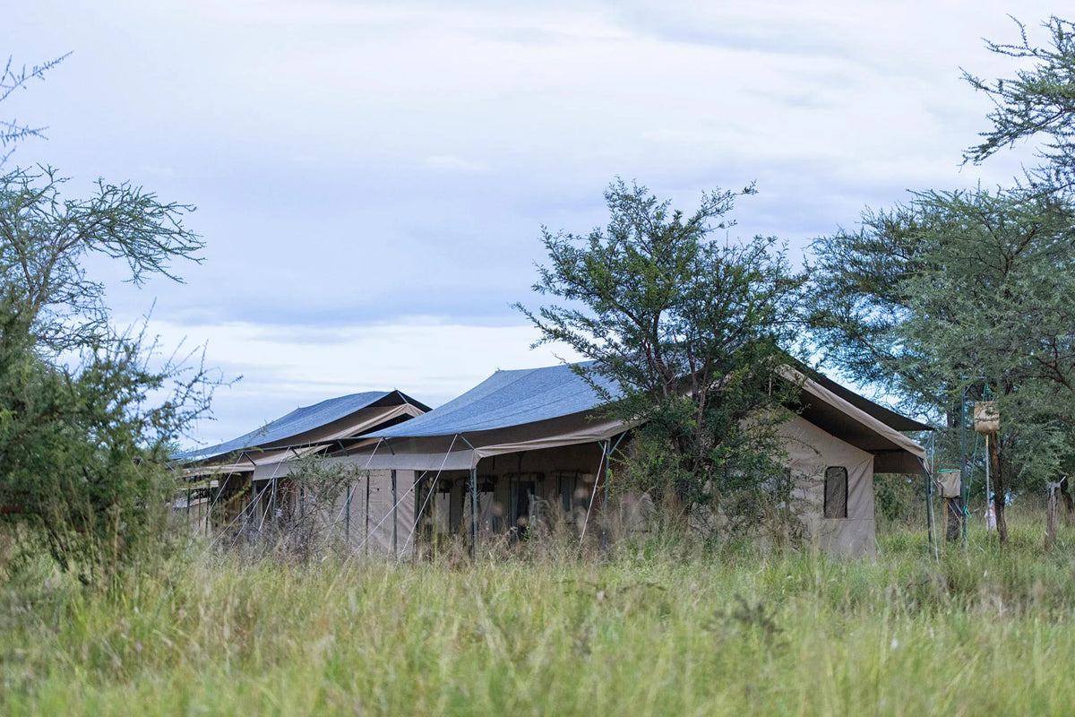 Spacious Canvas Tents