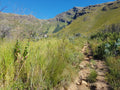 Adventure Shop Waterfall Guided Hike