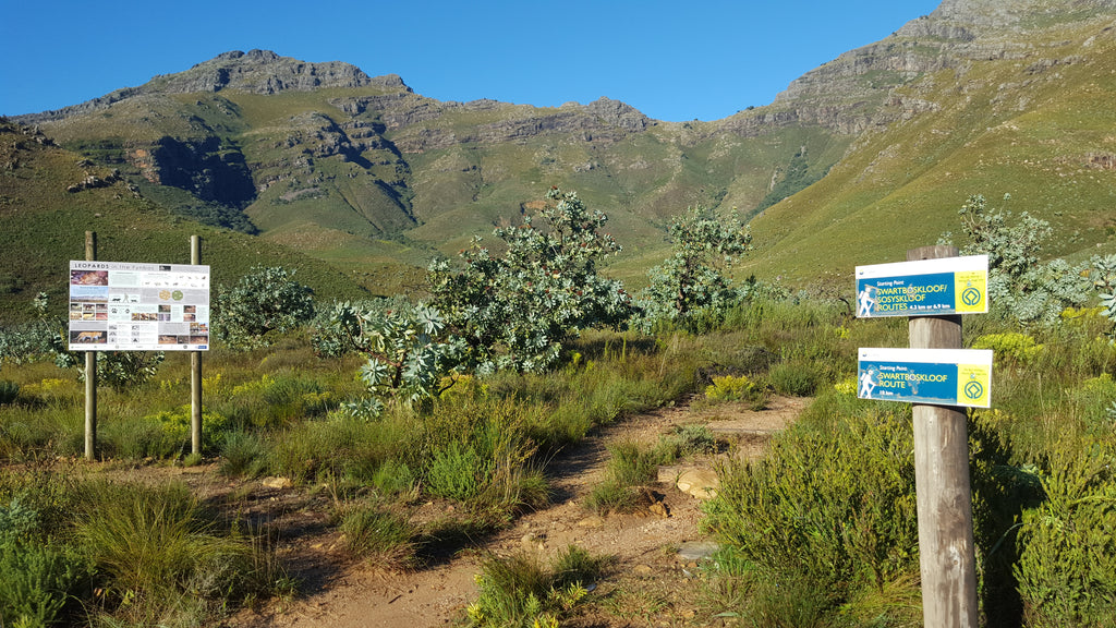 Adventure Shop Sossyskloof Guided Hike