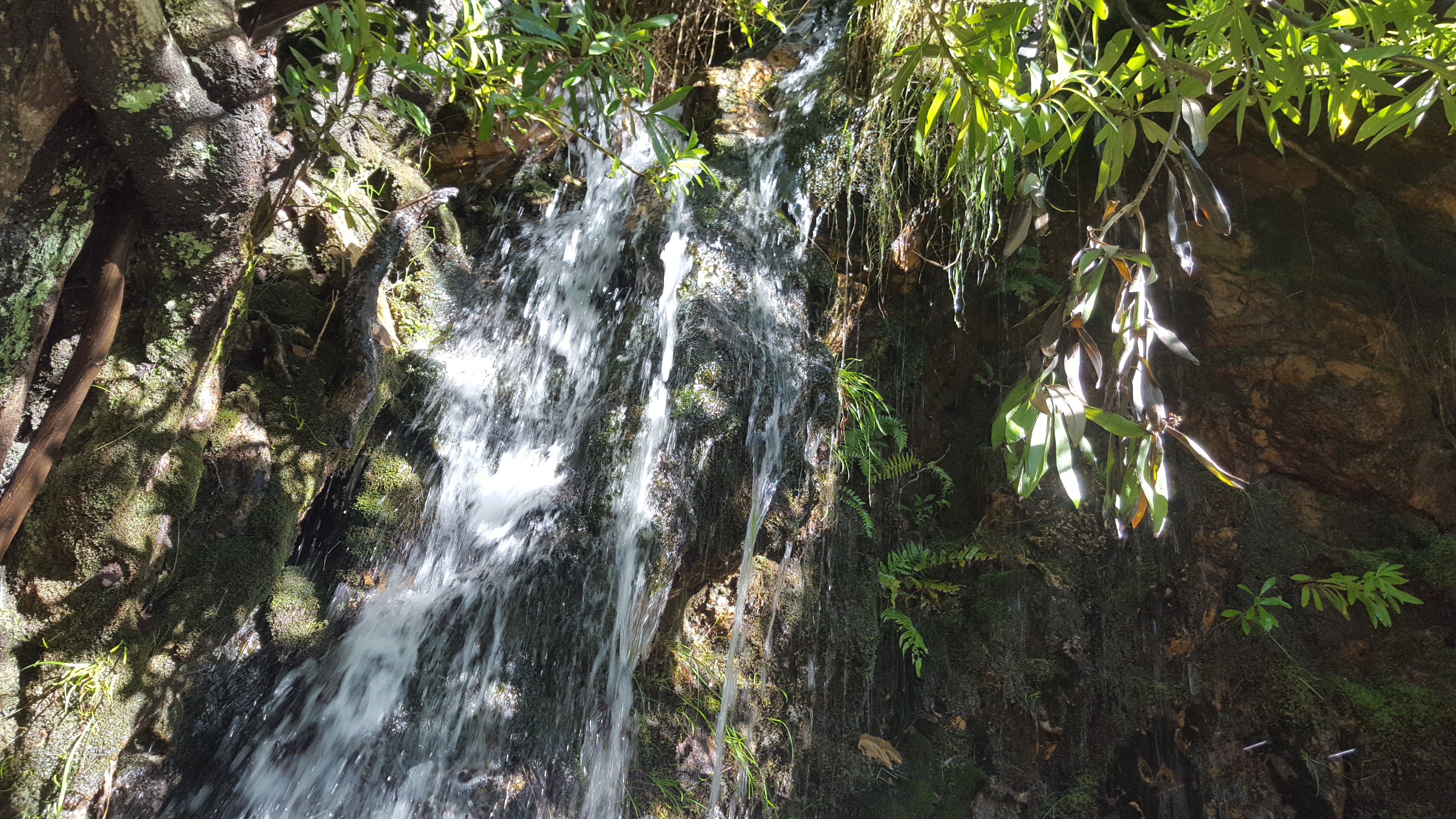 Adventure Shop Sossyskloof Guided Hike