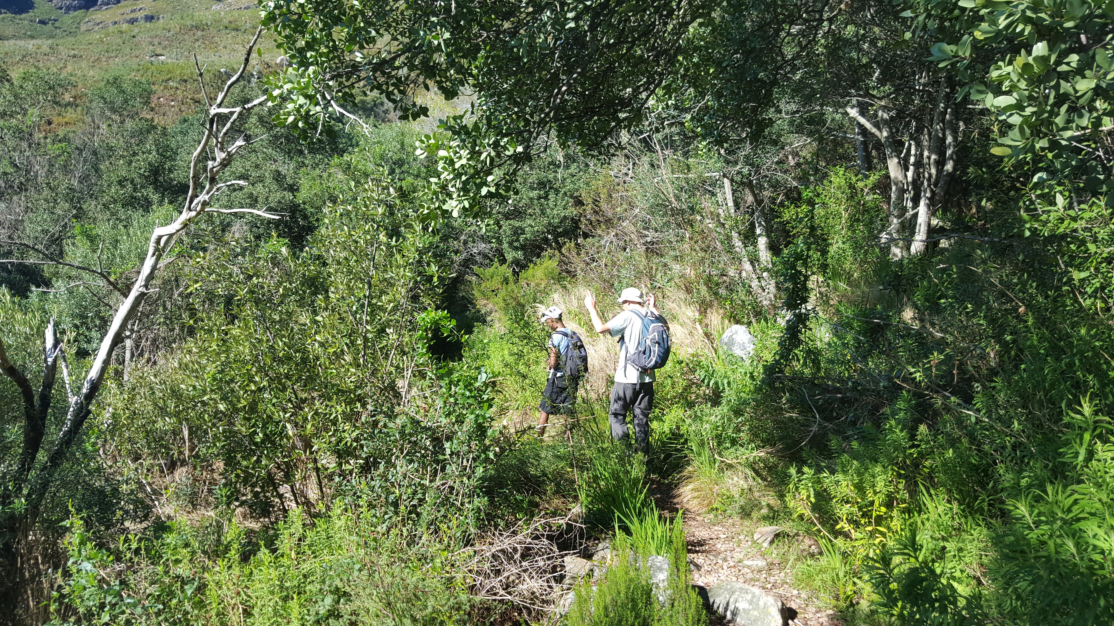 Adventure Shop Sossyskloof Guided Hike