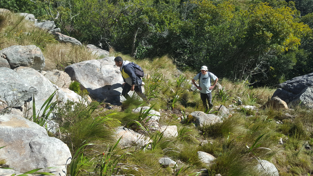 Adventure Shop Sossyskloof Guided Hike