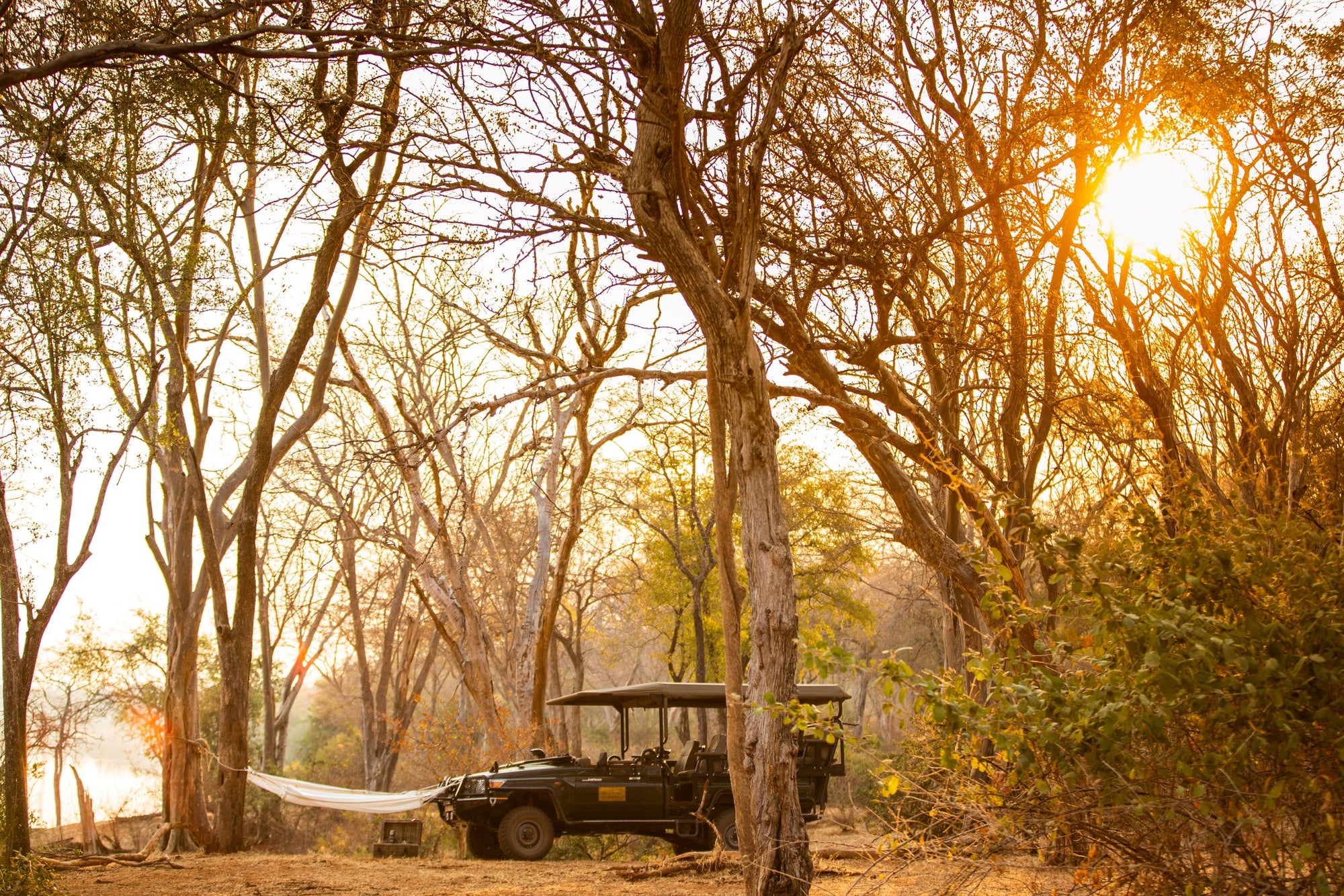 Tembo Plains Camp