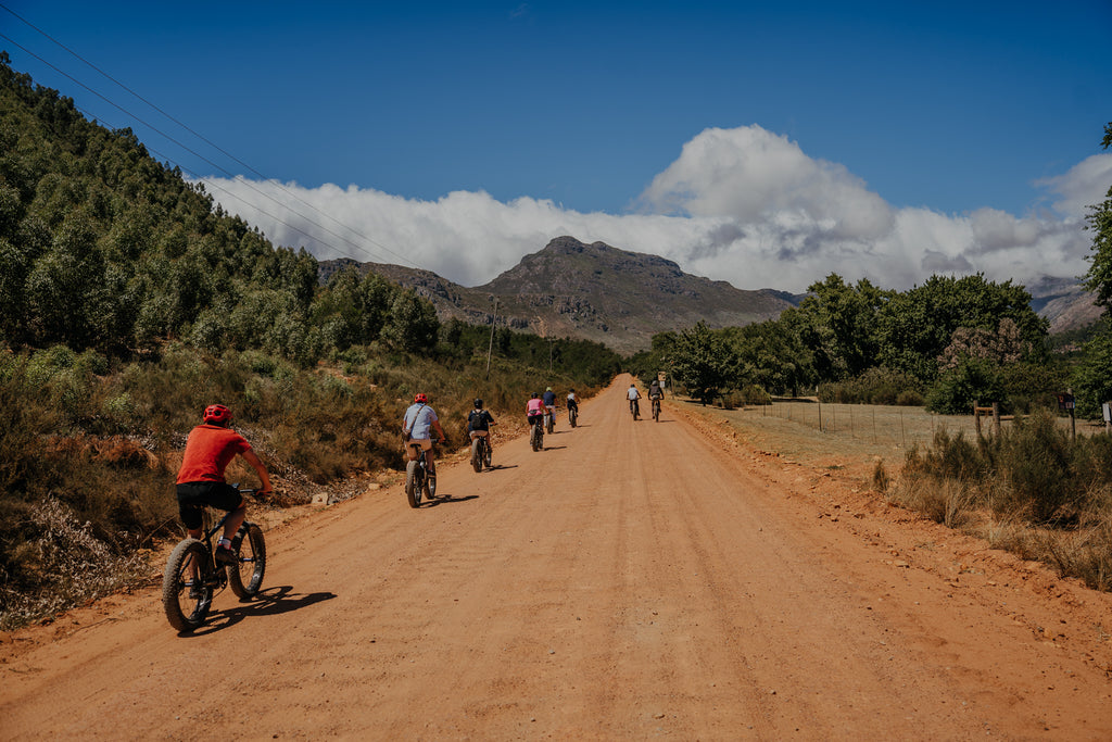 Vinebikes® Franschhoek E-Bike Wine Tours