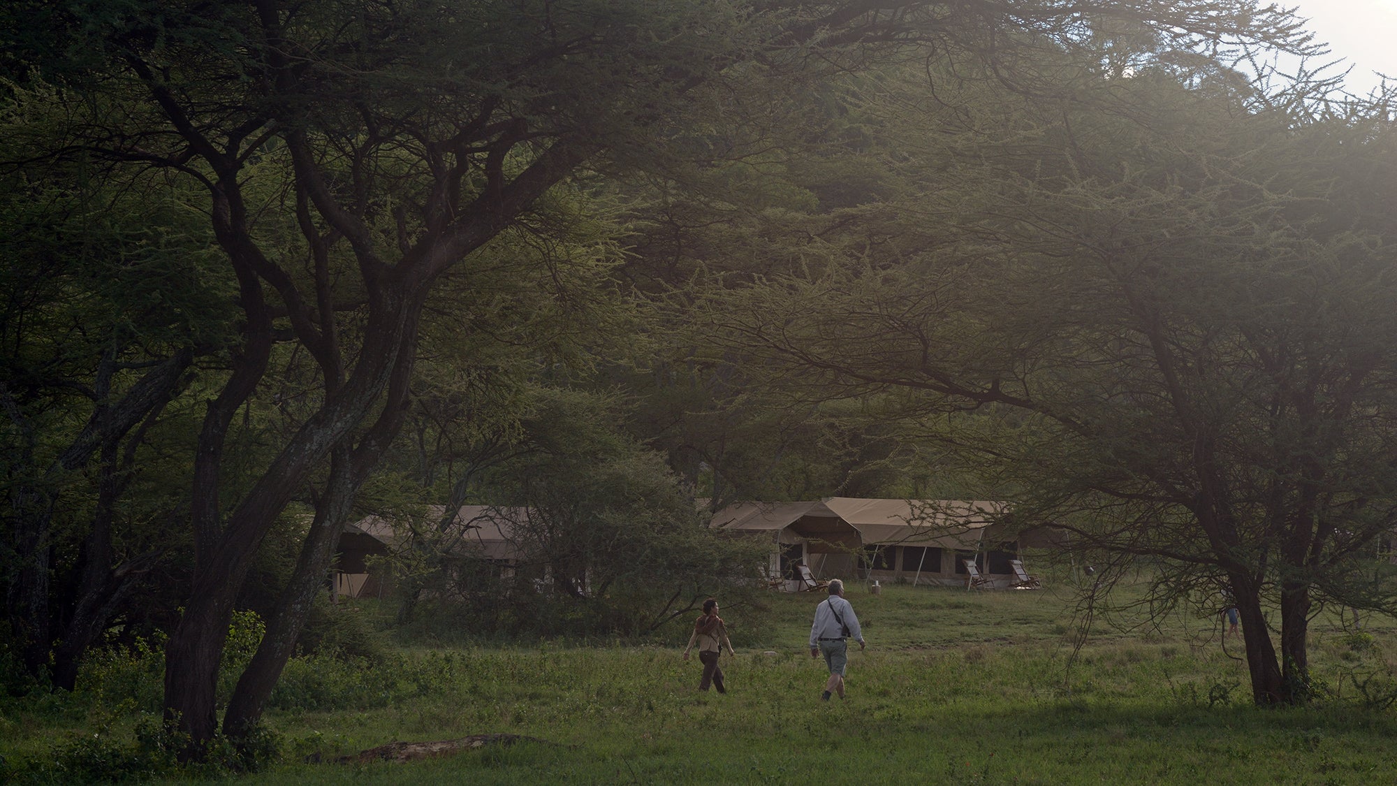Matembezi Classic Camp - Southern Serengeti