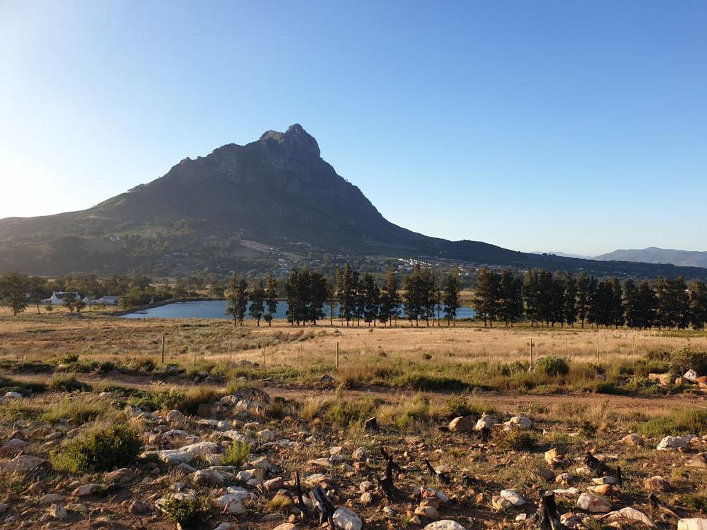 Adventure Shop E-Bike Stellenbosch to Franschhoek