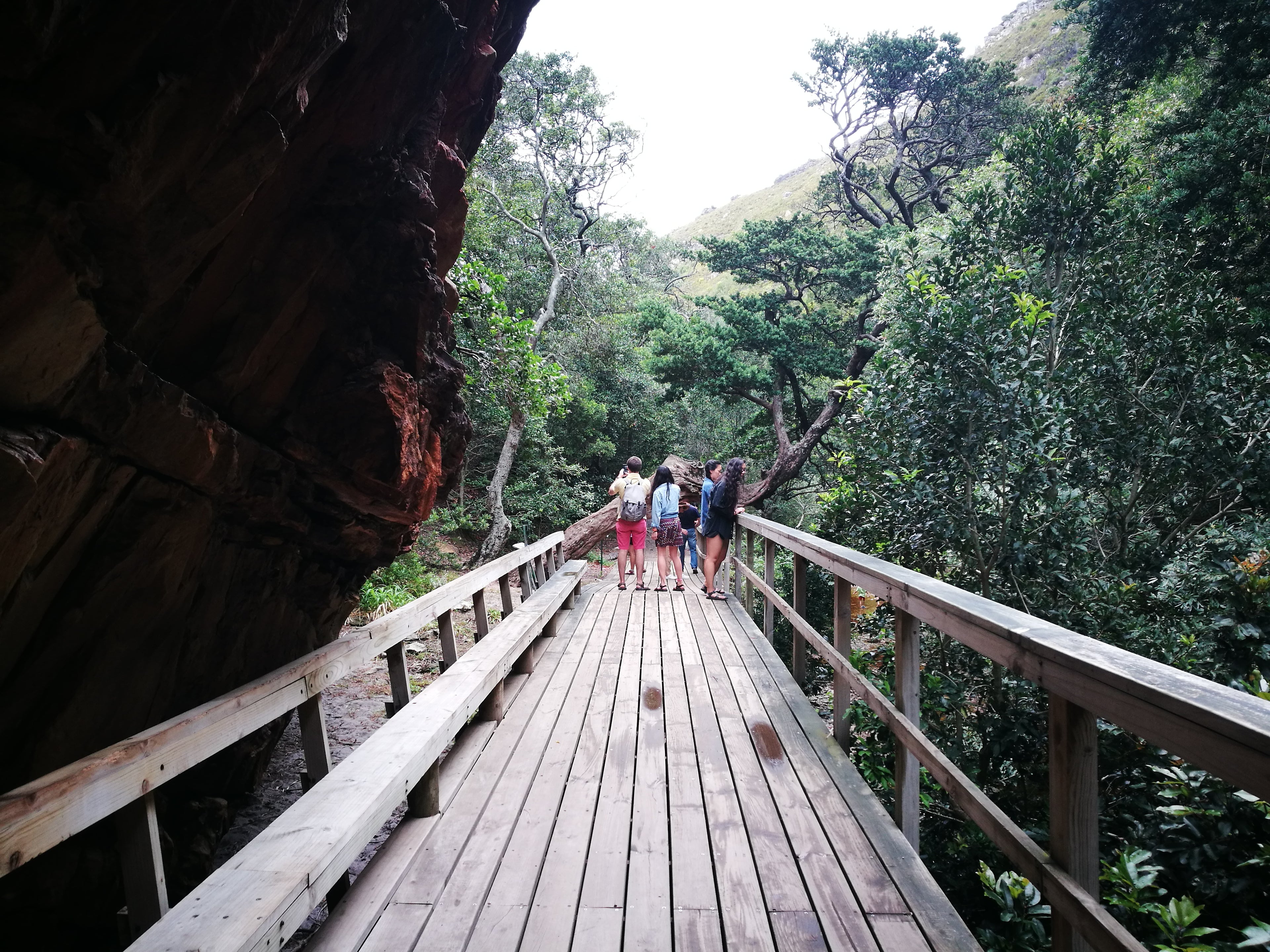 Adventure Shop Passes Sea and Vineyard