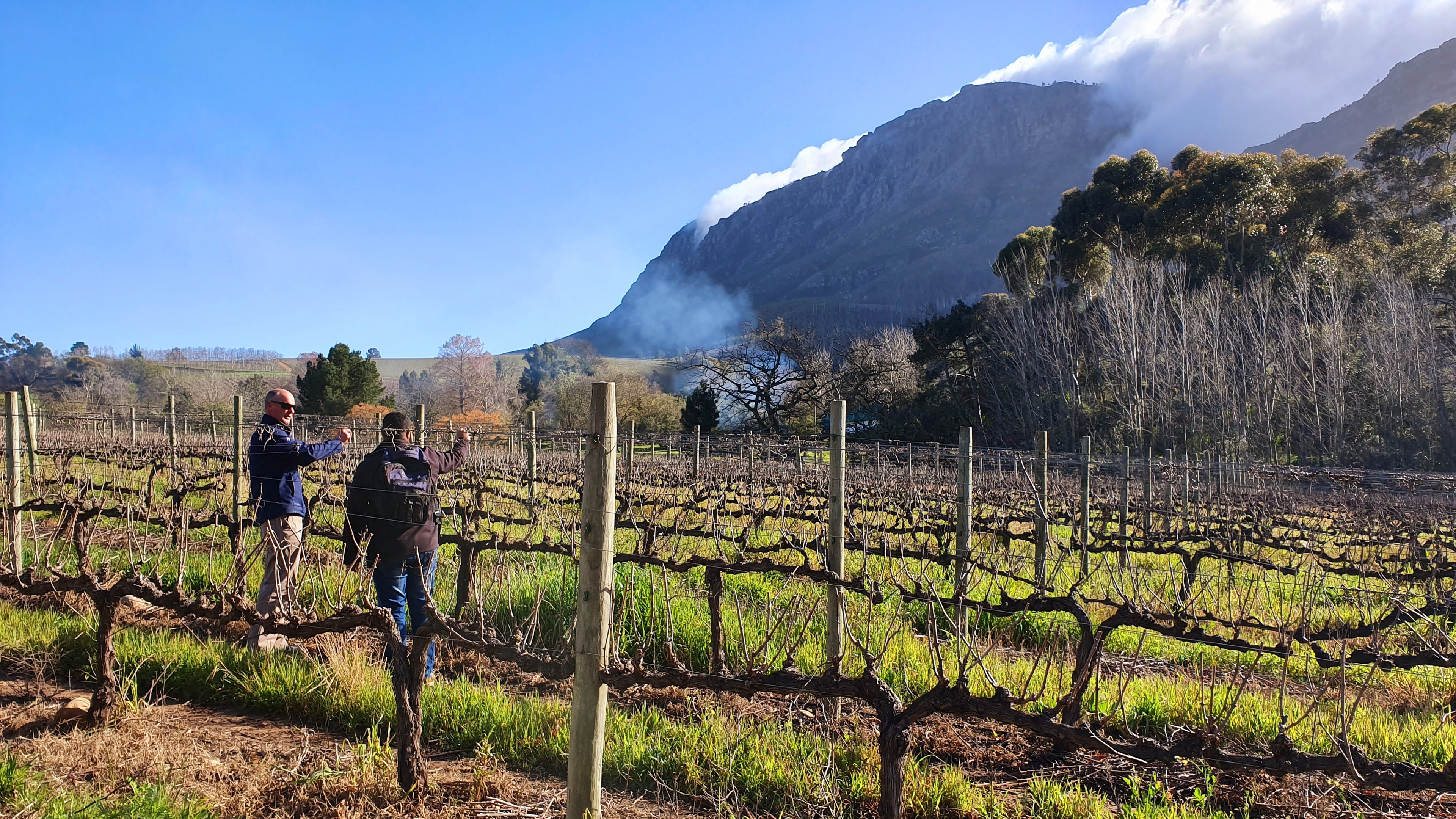 Adventure Shop Guided Vineyard Hike