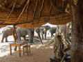 Kafue Eco Ventures