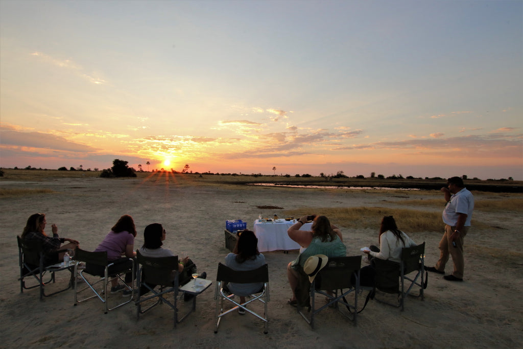 Hwange Experience