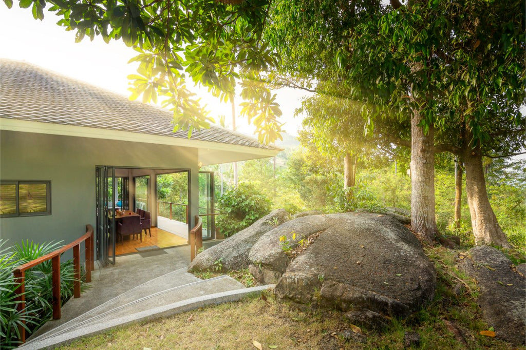 The Jungle Club
