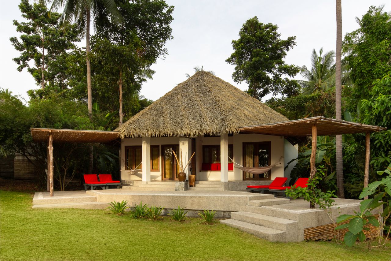The Jungle Club