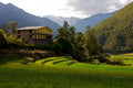Songtsam Lodge Tacheng