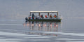 Seaduction Boat on a game drive