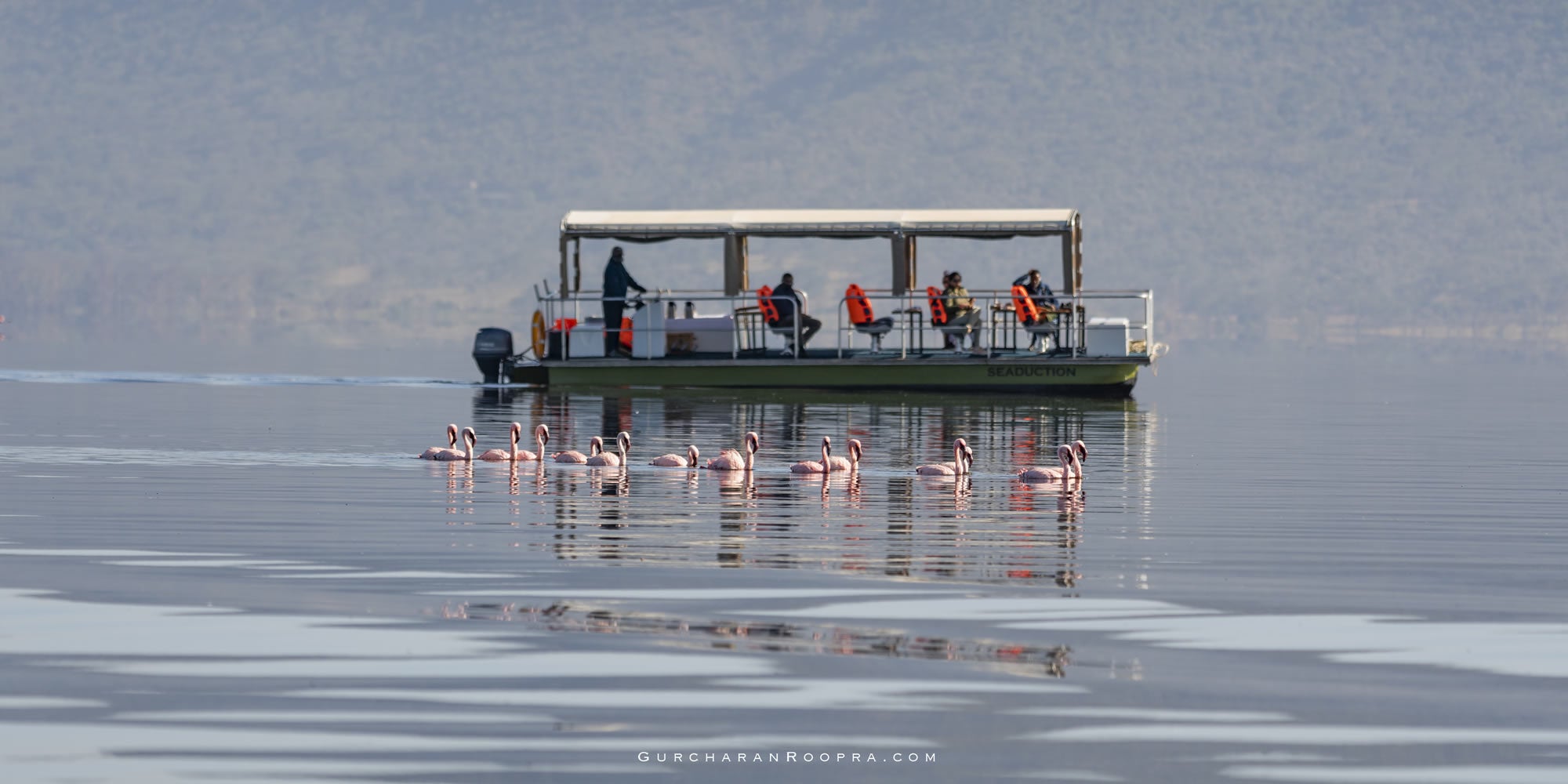 Cliff Boat Safaris
