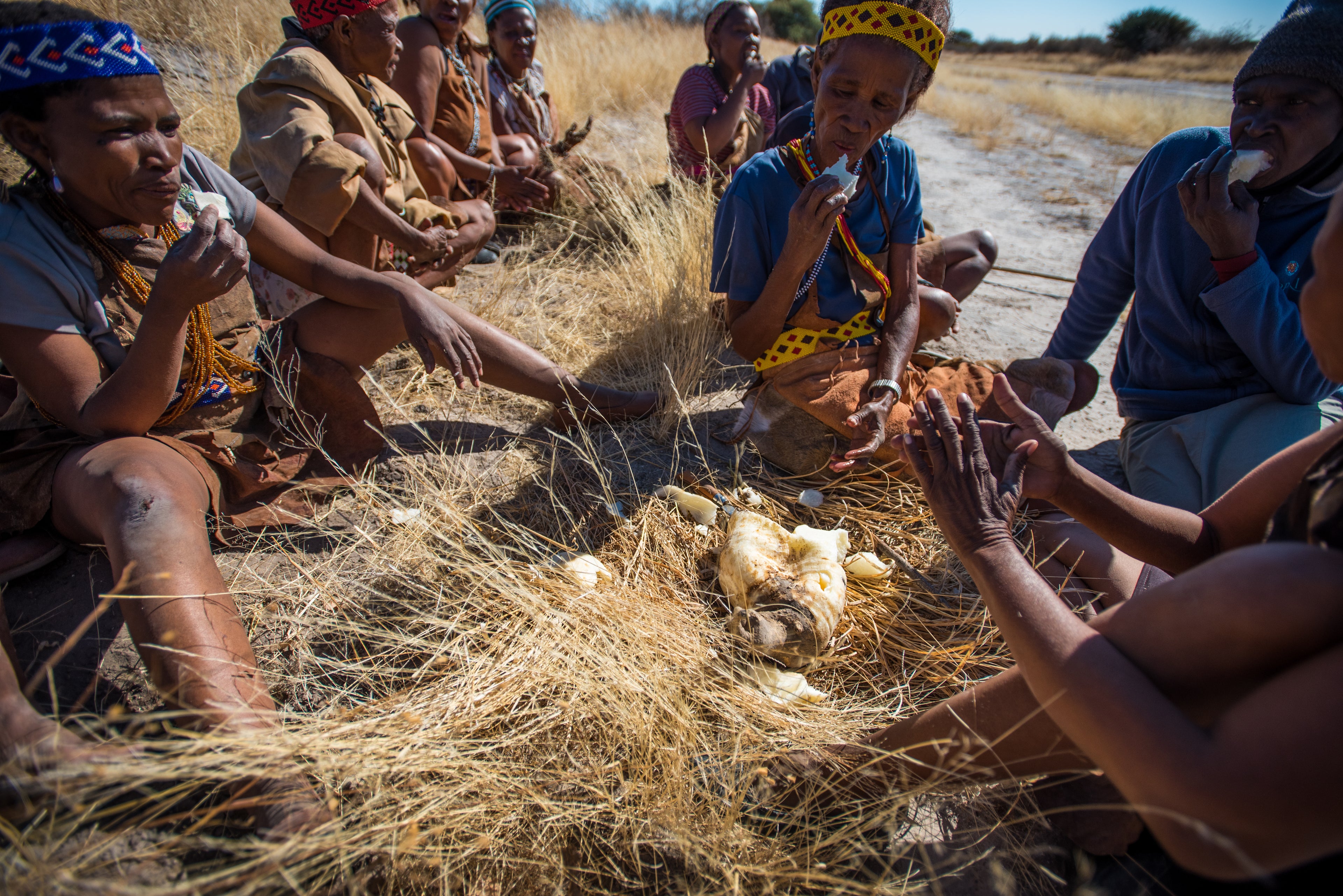 Time with the San Bushmen