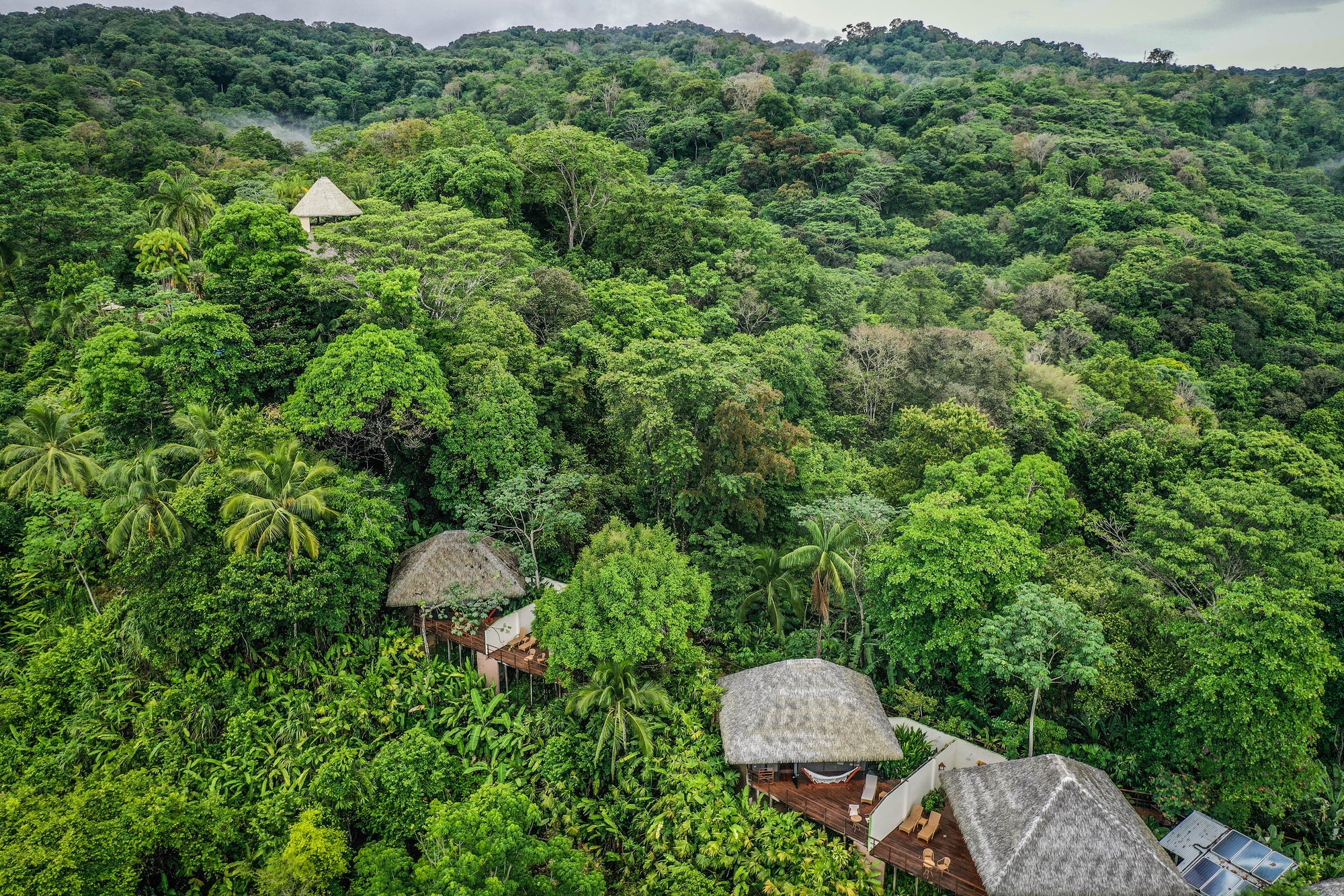 Deluxe Bungalows