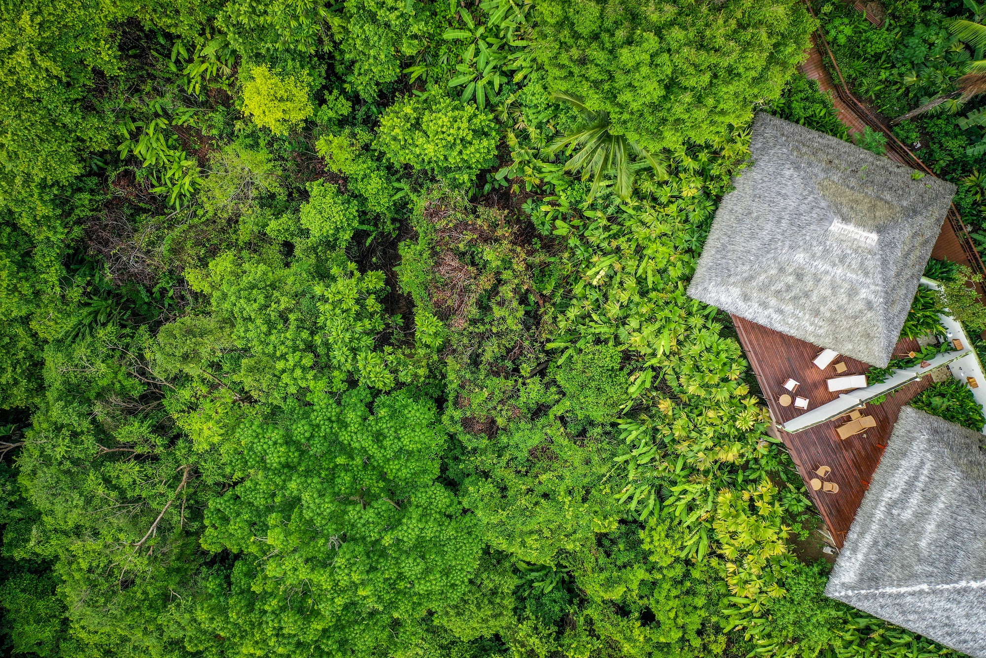 Deluxe Bungalows