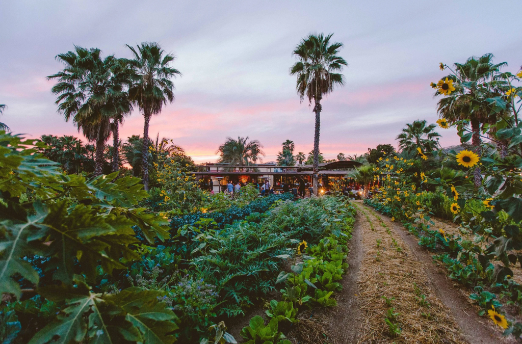 Flora Farms
