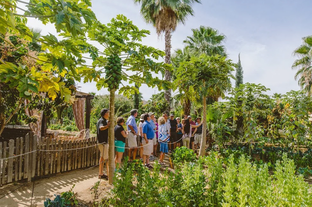 Flora Farms