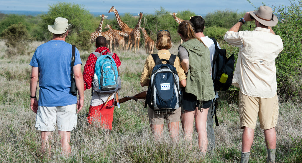 Guided Walks