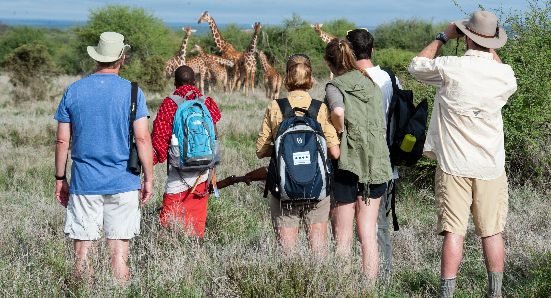 Guided Walks
