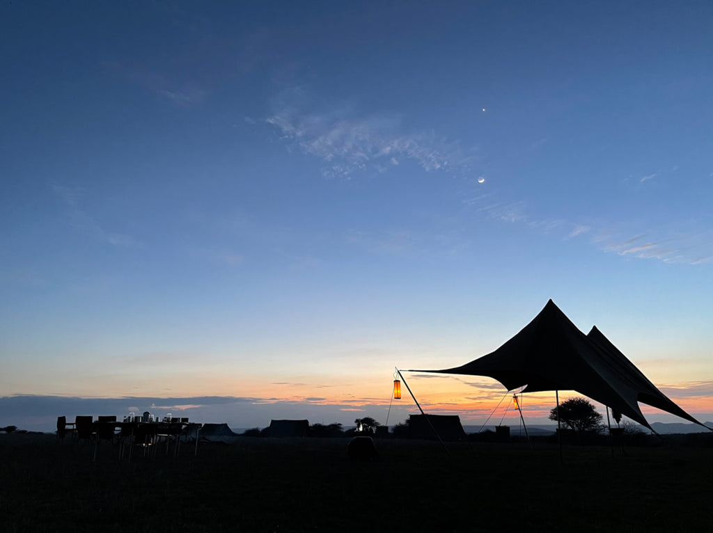 Evening sunset
