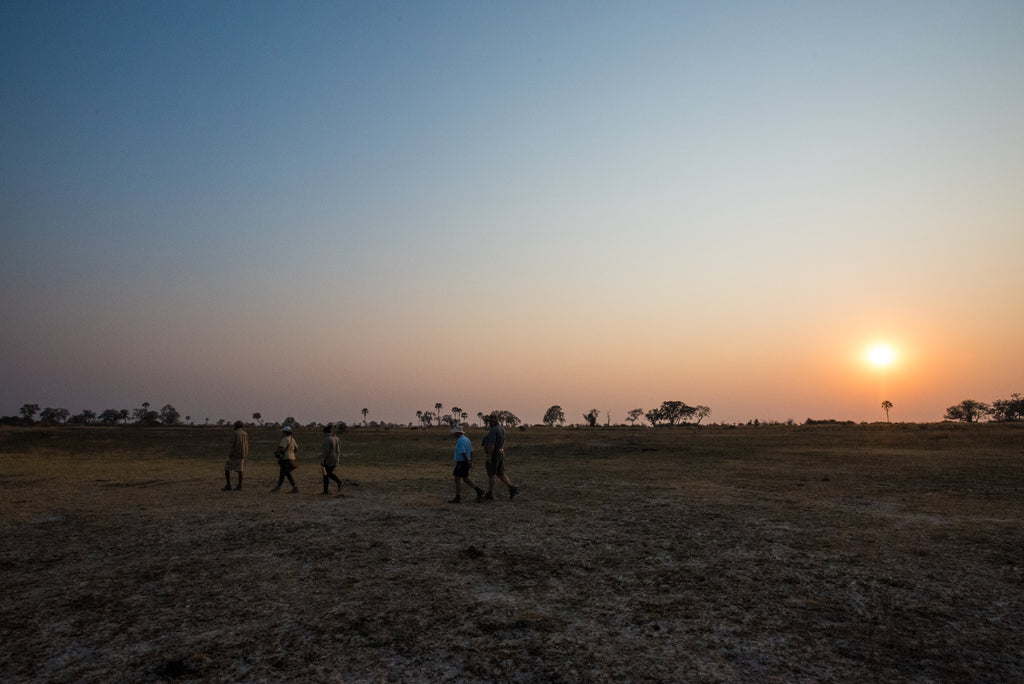 Tswii Mokoro Trails
