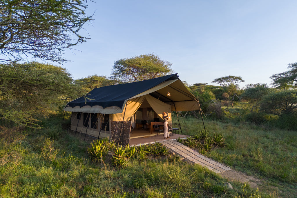 Double/Single Tent