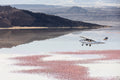 Scenic Flight: Flamingos