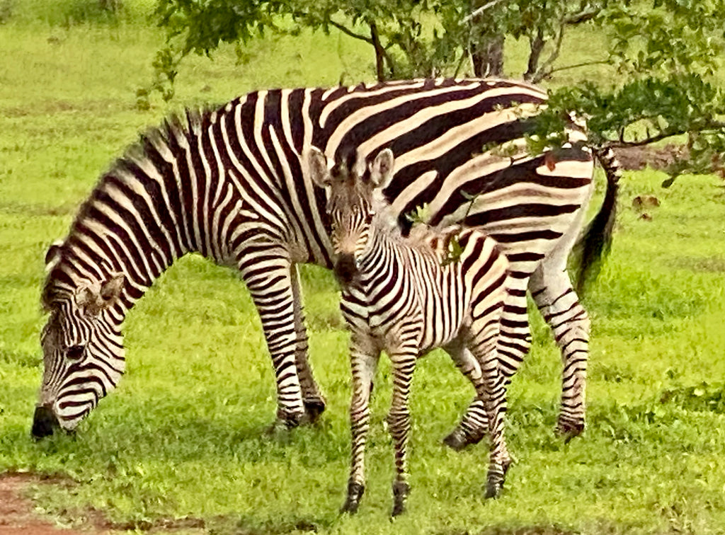 Pamarah Lodge Activities