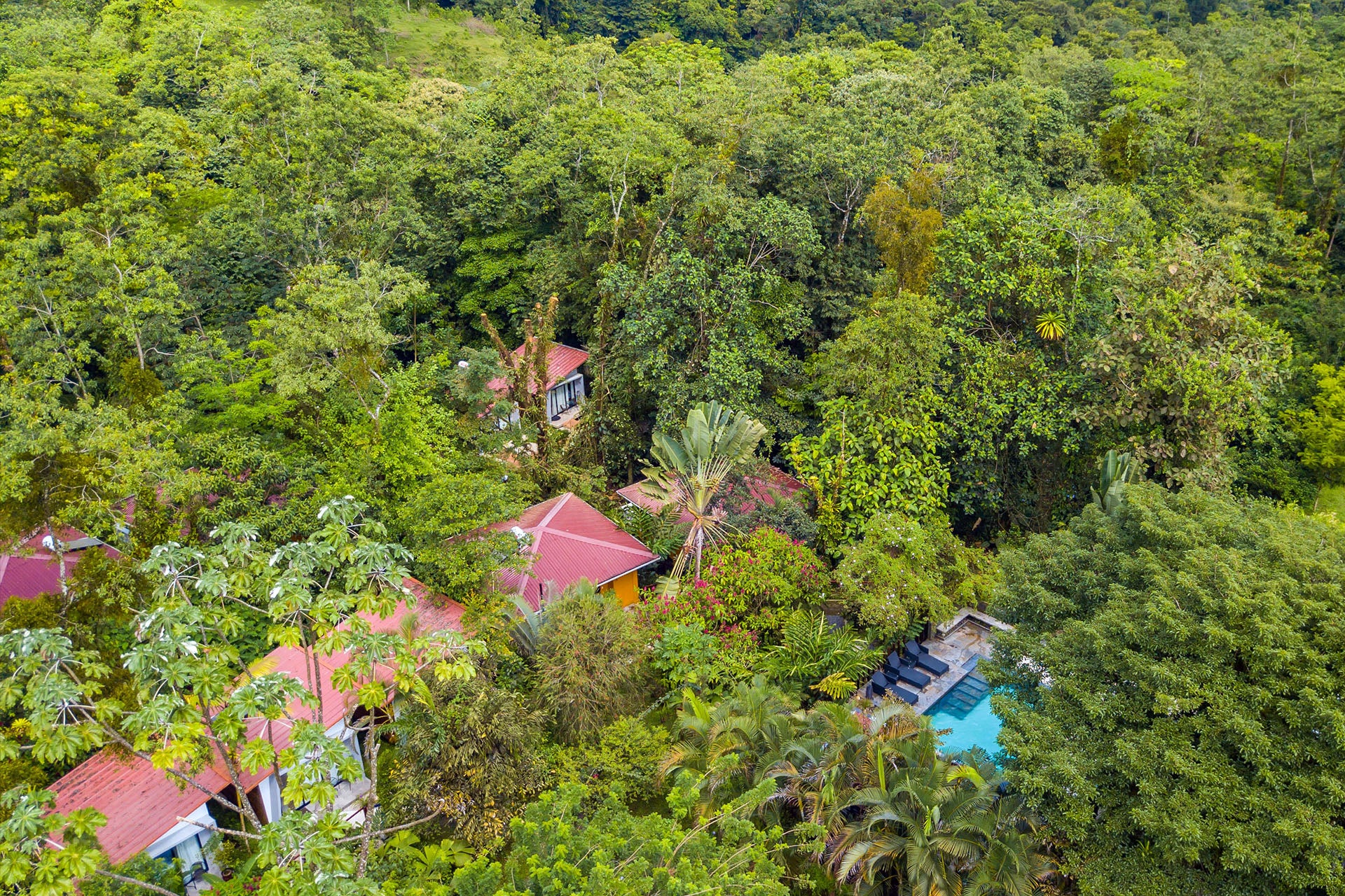 Tifakara Birding Oasis